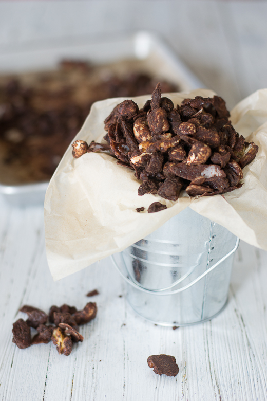 chocolate covered nuts and coconut bits