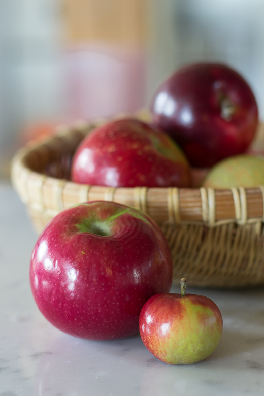 macintosh apples